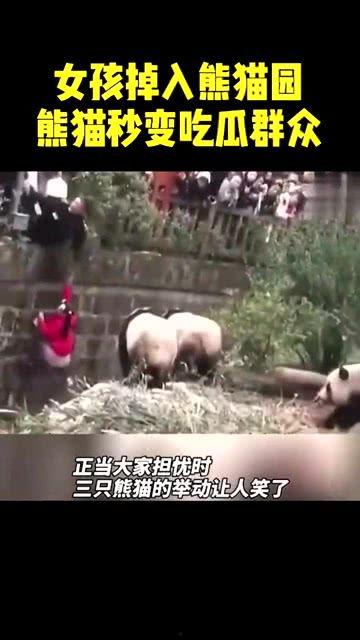 女生说你是吃瓜群众咋办,巧妙化解的智慧之道