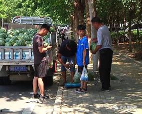 游客吃瓜群众怎么处理