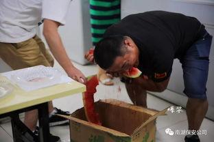 吃瓜视频群众盛宴,揭秘网络视频狂欢背后的现象