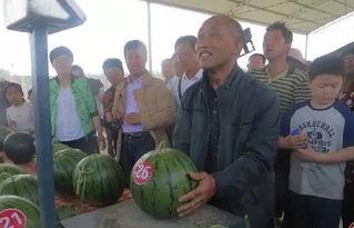 裕华区吃瓜群众事件,网络舆论场上的风波与反思