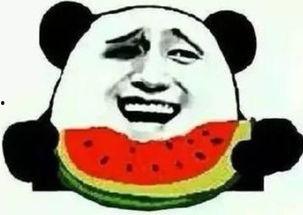 吃瓜群众能看懂视频吗,吃瓜群众轻松看懂的视频解析