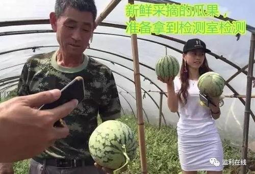 一线吃瓜群众直播回放,揭秘热门事件幕后真相