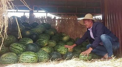 永城最新吃瓜群众新闻