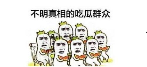 关于吃瓜群众的演讲稿,网络时代的围观力量与反思