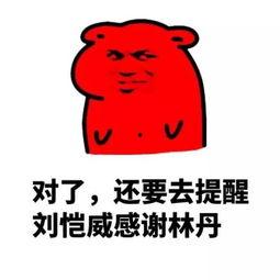 唠嗑吃瓜群众怎么说,唠嗑吃瓜群众的趣味生活