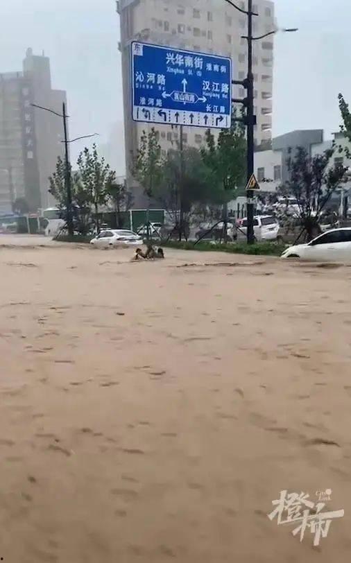 吃瓜群众下暴雨,吃瓜群众围观现场
