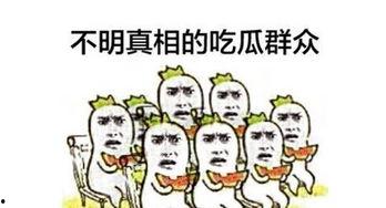 吃瓜群众准备好,吃瓜群众眼中的明星生活