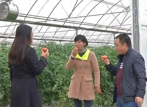 绥阳吃瓜群众,揭秘当地独特饮食文化