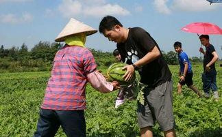 华西村吃瓜群众,吃瓜群众的欢乐盛宴