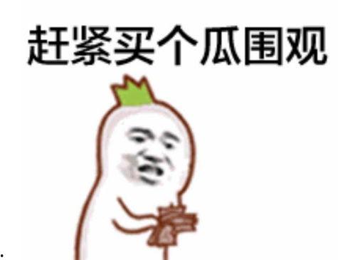 吃瓜群众啊端碗吃饭,揭秘日常生活中的趣味瞬间