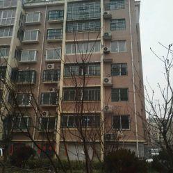 金乡孙庄社区吃瓜群众,吃瓜群众的欢乐时光