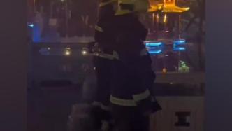 歹徒砍杀吃瓜群众视频播放