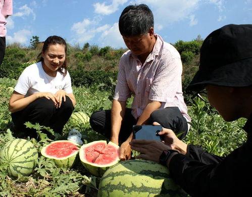 美方吃瓜群众是谁,他们眼中的中美关系