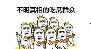 对方说吃瓜群众怎么回复