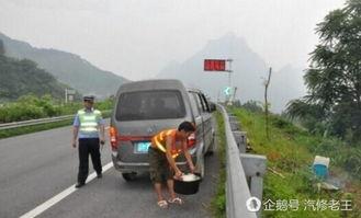 高速上吃瓜群众,揭秘高速公路上的奇闻轶事
