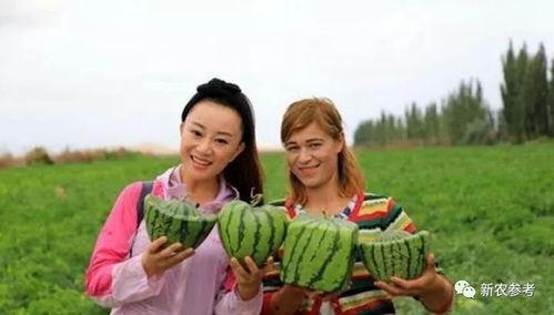 世人都是吃瓜群众的人吗,揭秘现代社会的“瓜民”现象