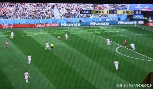 吃瓜群众踢足球图片高清,高清镜头下的欢乐瞬间