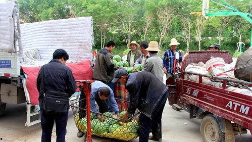 武宁县吃瓜群众案件,揭秘网络谣言背后的真相