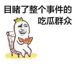 吃瓜群众流露情感图片,吃瓜群众的喜怒哀乐图鉴