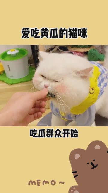 吃瓜群众是啥时候开始的,网络时代下的围观文化演变