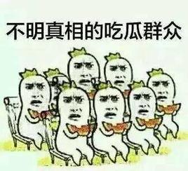 怎么进群吃瓜群众的群,如何轻松加入“吃瓜群众”群，共享热门话题与趣味瞬间