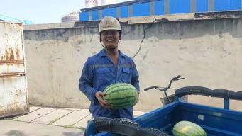 吃瓜群众快乐每一天,揭秘娱乐圈幕后趣闻