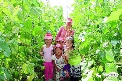 吃瓜群众怎么找亮点,吃瓜群众如何挖掘事件亮点