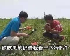吃瓜群众两个小孩,两个小孩的童年趣事