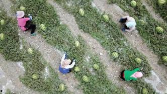 瑞典发大水吃瓜群众