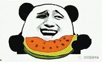 吃瓜群众赏花图片高清