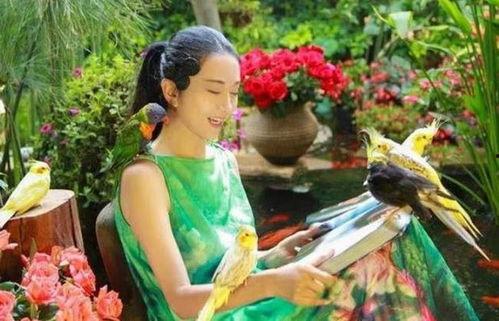 仙境吃瓜群众叶罗丽