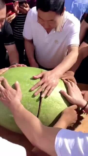 吃瓜群众感情视频,揭秘吃瓜群众情感大揭秘