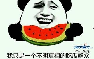 我也是吃瓜群众什么意思,网络时代的围观者众生相