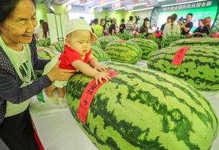 中国是世界第一吃瓜群众,中国，世界第一吃瓜群众