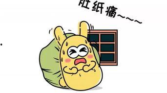 吃瓜群众过年了