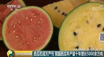 中国最好的吃瓜群众,揭秘网络舆论场中的风向标